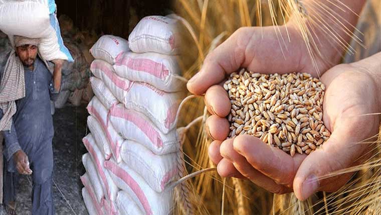 گندم اور آٹا مہنگا عوام کو شدید مشکلات 