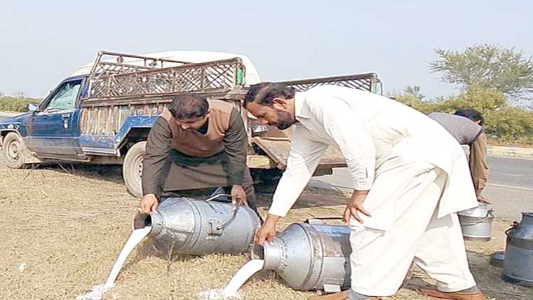  پنجاب فوڈ اتھارٹی کی کارروائی، 300لٹر ملاوٹی دودھ تلف