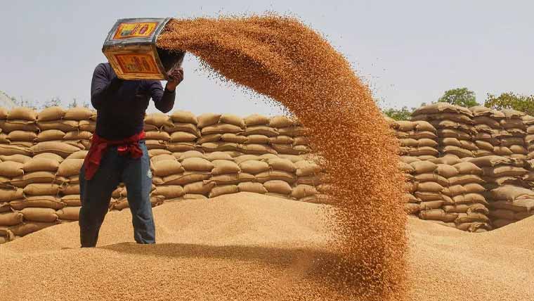 پنجاب:گندم خریداری ہدف 30 لاکھ میٹرک ٹن،نوٹیفکیشن جاری