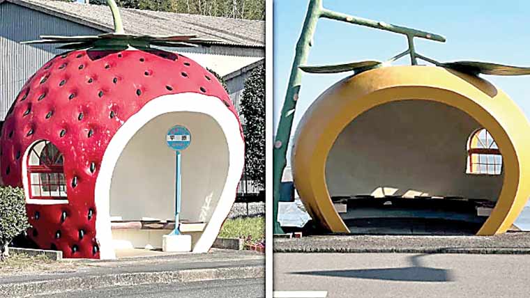 ناگاساکی میں پھلوں کی شکلوں جیسے بس سٹاپ کیوں ہیں