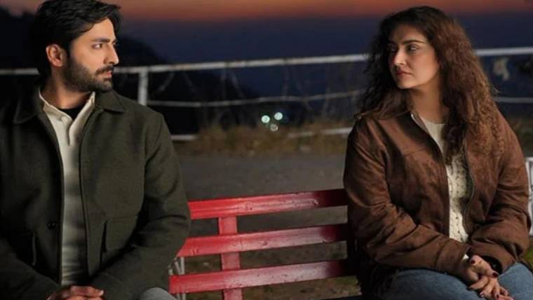  حِبا بخاری کیساتھ مجھے پہلے بھی بہت پسند کیا گیا:دانش تیمور