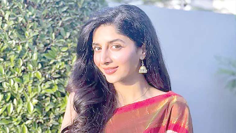 پینگوئن کی وائرل ویڈیو نے ماورا کی زندگی بدل دی