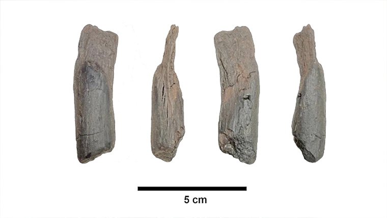 لاکھوں سال پرانے قدیم ترین لکڑی کے اوزار دریافت