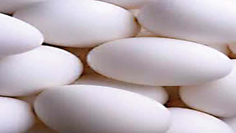 337روپے درجن 