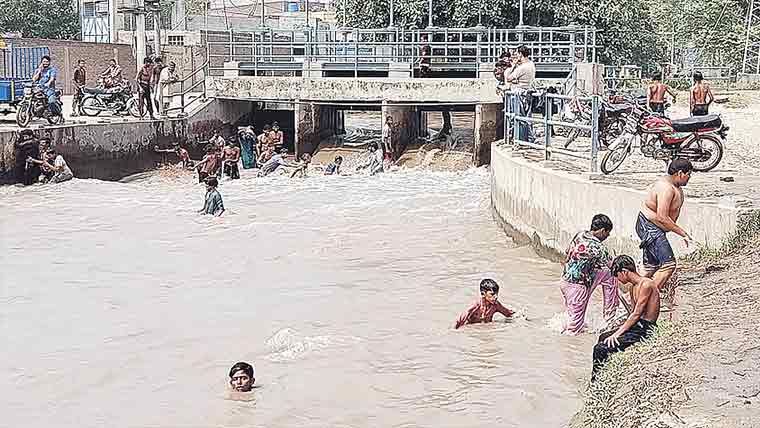 ایم ڈی ستھرا پنجاب کالدھیوالا کے وارڈزمیں کارکردگی کاجائزہ