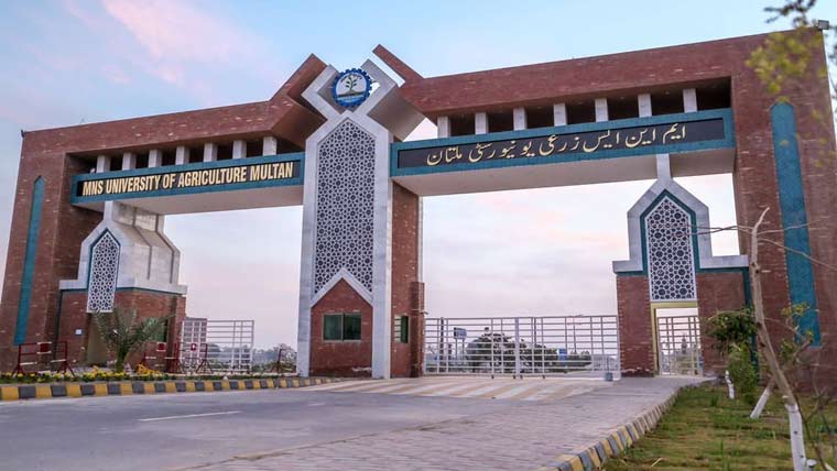 زرعی یونیورسٹی میں مینگو اینڈ ڈیٹس فیسٹیول کا افتتاح 