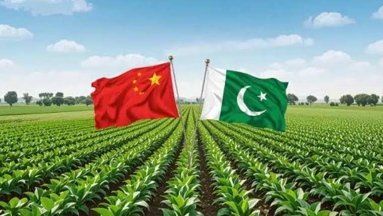  کپاس،پاکستان اور چین تعاون مزید مضبوط بنانے پرمتفق