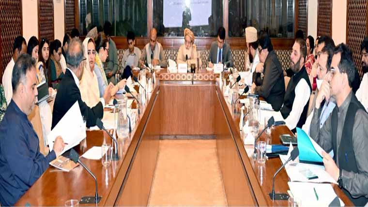 طلاق پر شوہر کی آدھی جائیداد بیوی کو دی جائے : سینیٹ کمیٹی میں علی ظفر کی تجویز