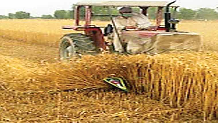 ٹریکٹر کے ذریعے فصل تباہ کر دی 
