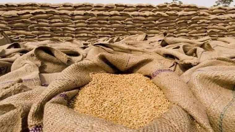 پنجاب :سرکاری گندم کا اجراء شروع  قیمت 3800 روپے من مقرر