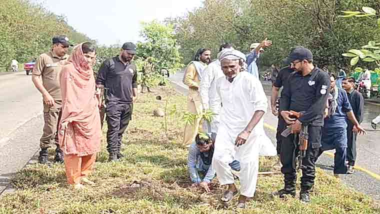 گجرات:جی ٹی روڈ سینٹر میڈین  میں 600 پودے لگا د ئیے گئے