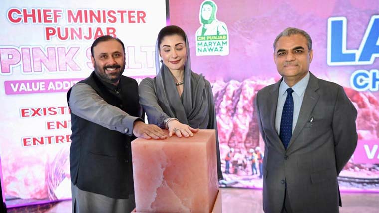قدرتی وسائل قوم کی امانت، پوری ایمانداری سے حفاظت کرینگے : مریم نواز 