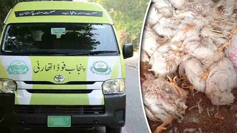 ایک ہزار کلو گرام مردہ مرغیوں سے بھری گاڑی پکڑ ی گئی 