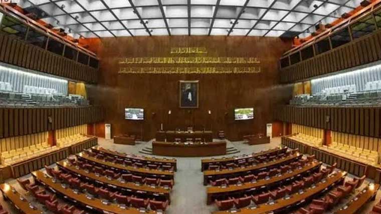  نجی تھرڈ پارٹی کمپنیاں ستھرا پنجاب منصوبہ کو بدنام کر رہیں،سینیٹ کمیٹی