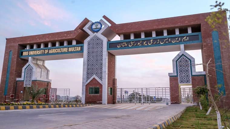 زرعی یونیورسٹی، گولڈ کریسٹ کے اشتراک سے دوسرا مینگو فیسٹیول 