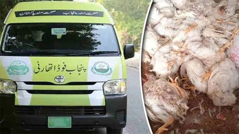 فوڈ اتھارٹی کا ایکشن ، 20 من مردہ مرغیاں برآمد ، رکشہ ضبط ، مقدمہ