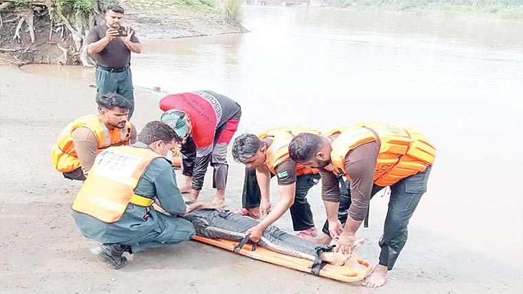  اگوکی :بی آر بی نہر میں نہاتے نوجوان جاں بحق، دو ساتھی محفوظ 