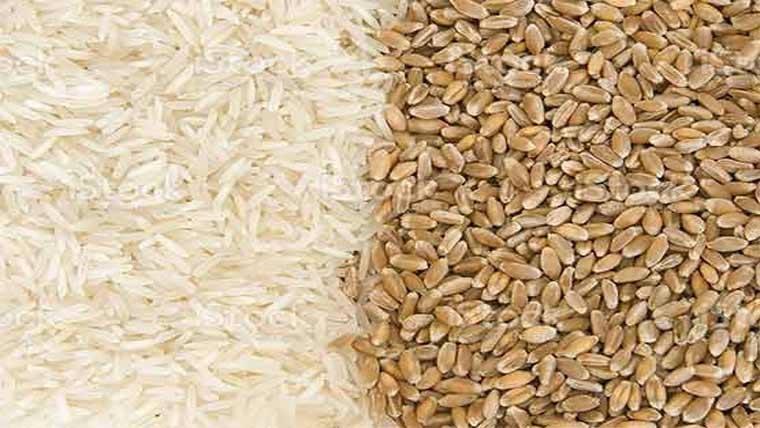 موسمیاتی  تبدیلی  غذائی  سلامتی  کیلئے  بڑا  چیلنج،گندم،چاول  کی  پیداوار  میں  کمی  کا  خدشہ