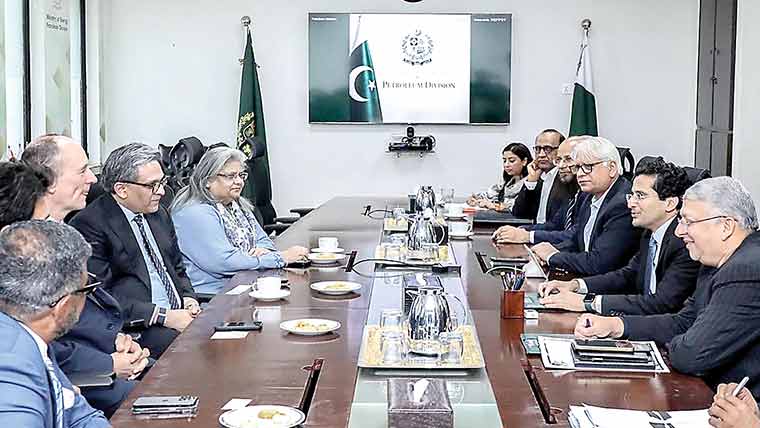 انٹرنیشنل کمپنیوں کا توانائی ،معدنیات میں سرمایہ کاری پر اتفاق
