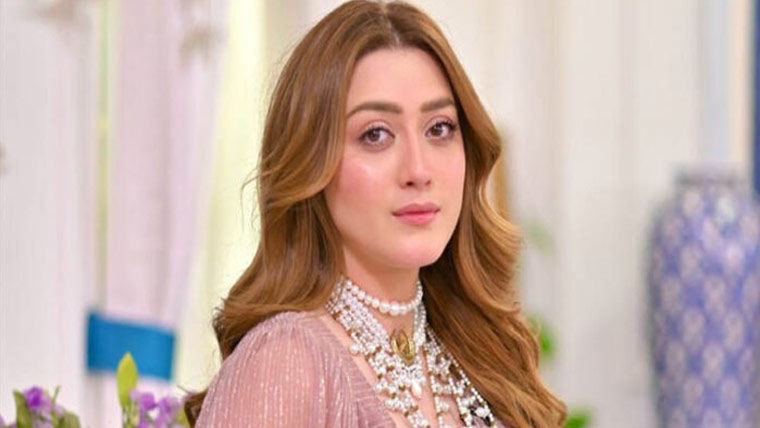  مومنہ اقبال ہراسمنٹ،وکلا آئندہ سماعت پرحتمی دلائل کیلئے طلب 