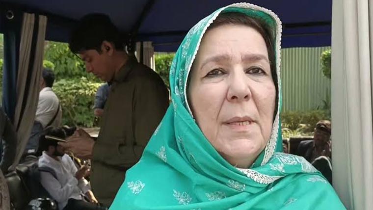 نورین نیازی کیخلاف پیکا ایکٹ کے تحت مقدمہ درج 