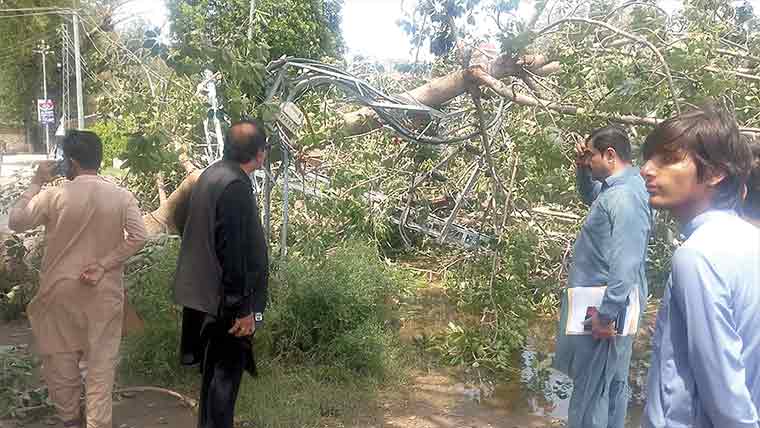 ملکوال : طوفانی ہوائوں سے درخت، کھمبے گرگئے، بجلی بند 