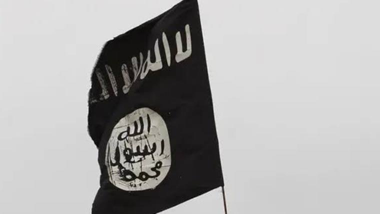حشد الشعبی کا قیام داعش سے لڑ نے کیلئے عمل میں آیا 