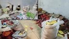 جعلی ادویات تیار کرنے والا نیٹ ورک پکڑا گیا