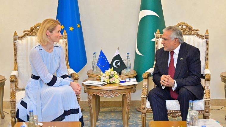  افغانستان سے دہشتگردی کیخلاف پاکستان کو دفاع کا حق حاصل : اعلیٰ نمائندہ  یورپی یونین