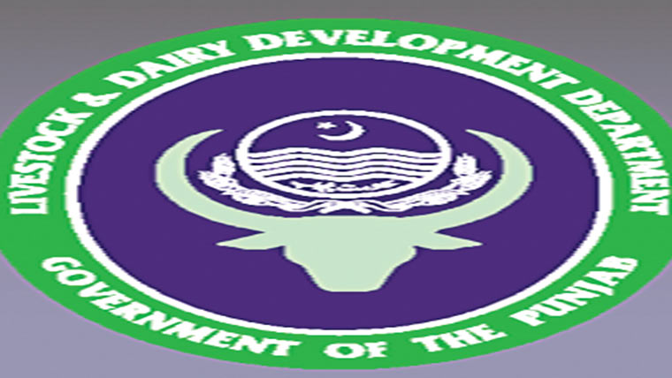 ایکٹ کی خلاف ورزی 