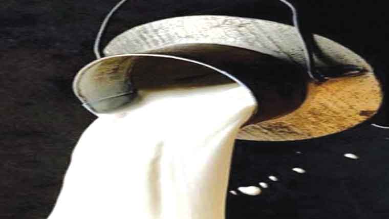ناقص دودھ تلف ، مقدمہ درج
