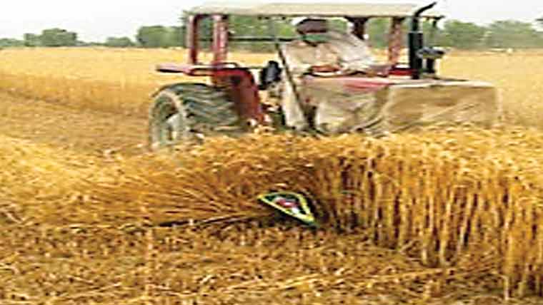 مخالف کی فصلیں تباہ کر دیں 