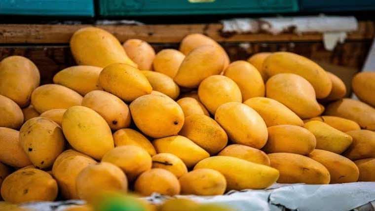 آم کی پیداوار 18لاکھ ٹن رہ گئی، مصنوعی مٹھاس سے مانگ بھی کم