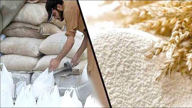  گندم کا ضیاع ، چوری پختونخوا میں آٹا بحران کی بڑی وجہ قرار