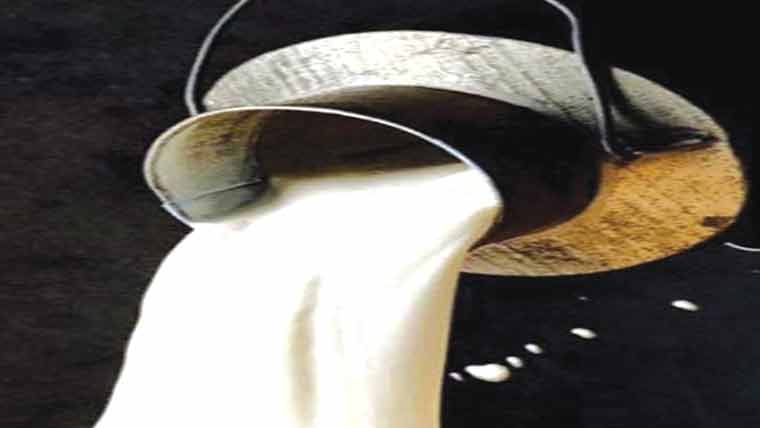 160کلو دودھ ضائع کر دیا