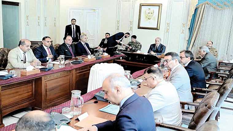  بجلی تقسیم کار کمپنیوں کی نجکاری کے عمل کی رفتار تیز کی جائے: شہباز شریف