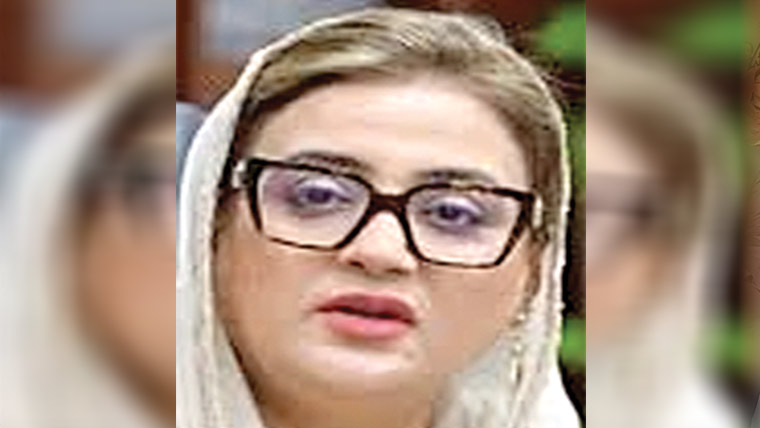 ہتکِ عزت کیس :بیان ریکارڈ 
