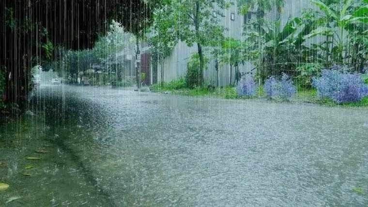 مون سون سے قبل نکاسی آب منصوبے مکمل کرنے کی ہدایت