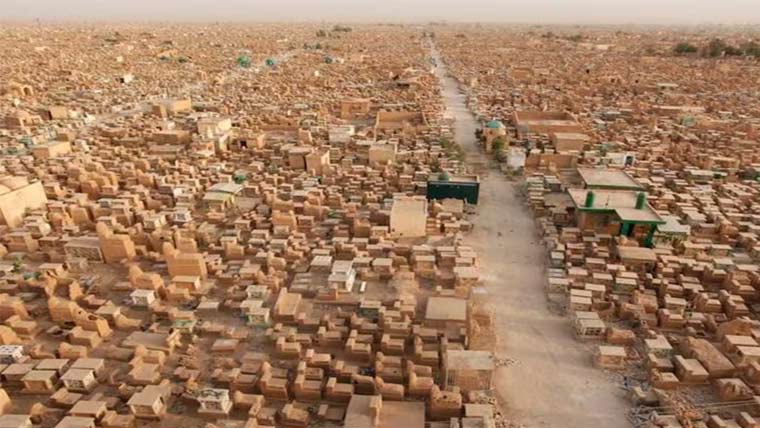 بحرِ ہند میں دنیا کا سب سے بڑا ’’وہیل قبرستان‘‘دریافت