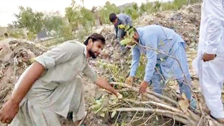کوٹ ادو:ممتاز پارک کی تزئین و آرائش،70 پودے تلف 