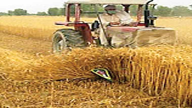 بیوہ کی فضل تباہ کر دی 