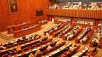  بجٹ میں عوام کیلئے کچھ  نہیں ، مشکل حالات میں متوازن ہے: سینیٹ میں بحث