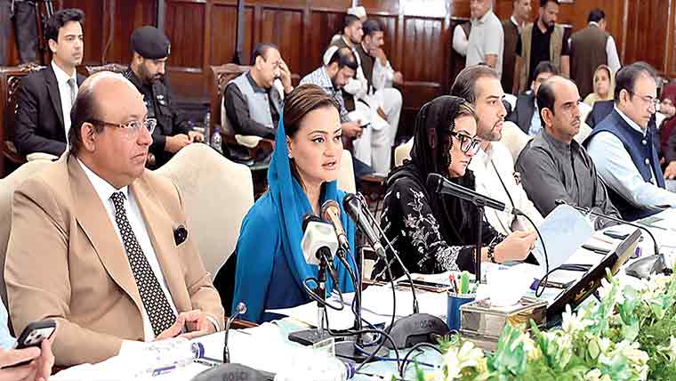پنجاب نے مشکل حالات میں بھی متوازن بجٹ دیا : صوبائی وزرا