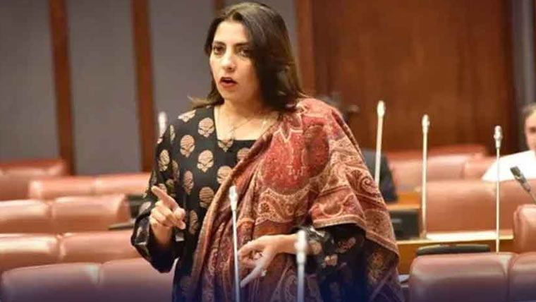 سینیٹ کمیٹی کا ٹیلی کمیونیکیشن تنظیم نو بل پر اوپن سماعت کا فیصلہ