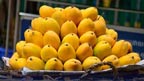 رواں سال آم کی برآمدات 30فیصد متاثرہونیکاخدشہ