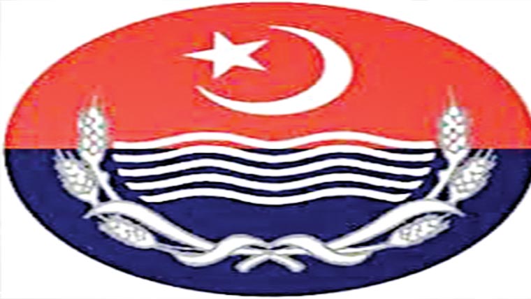 بیوہ پر تشدد کا مقدمہ درج 