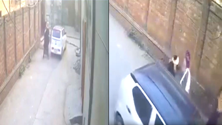 کارسواروں کی دن دہاڑے لڑکی کے اغوا کی کوشش 