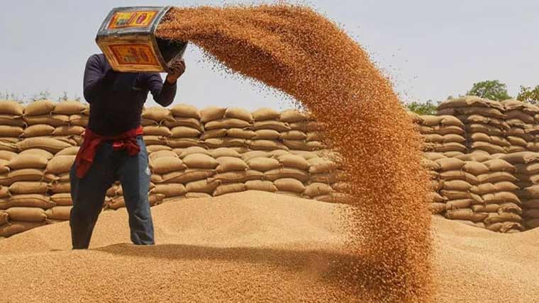 گندم خریداری گواموں کی مرمت کا حکم