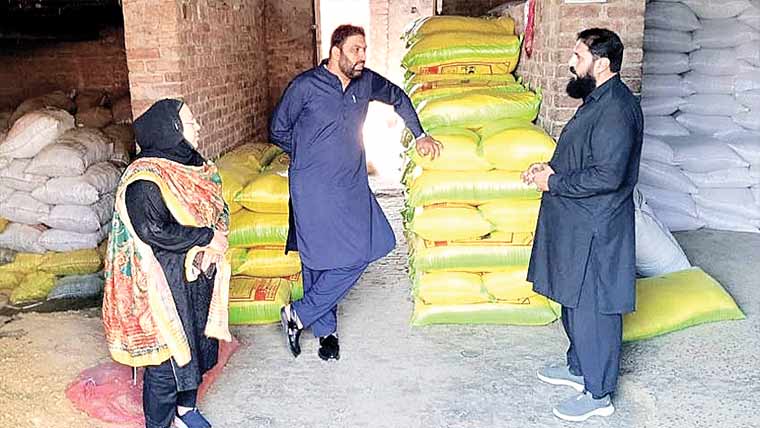  لائیو سٹاک ٹیم کا بنولہ کھل، چوکر ودیگر فیڈز کے معیارکاجائزہ 