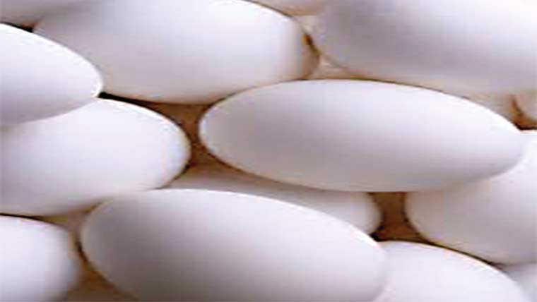 8روپے درجن سستے